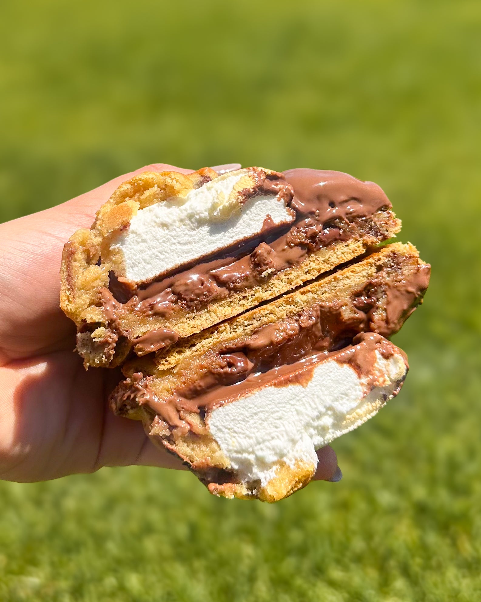 S'mores Cookie