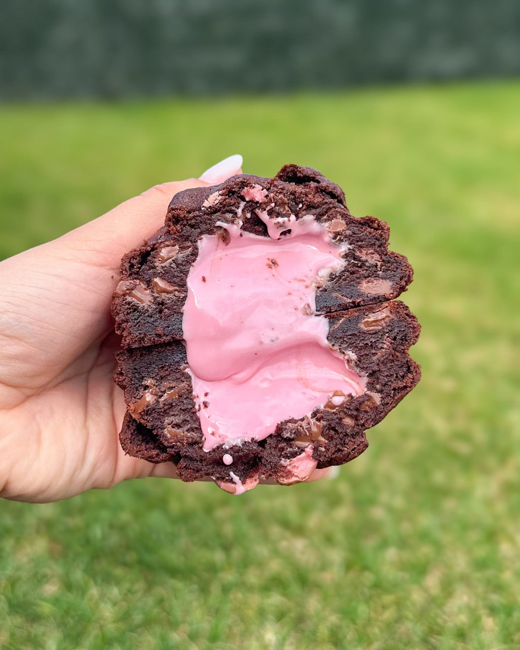 Chocolate Strawberry Cookie - Star Cookies