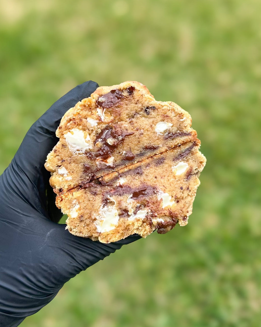 Coffee Cookie - Star Cookies