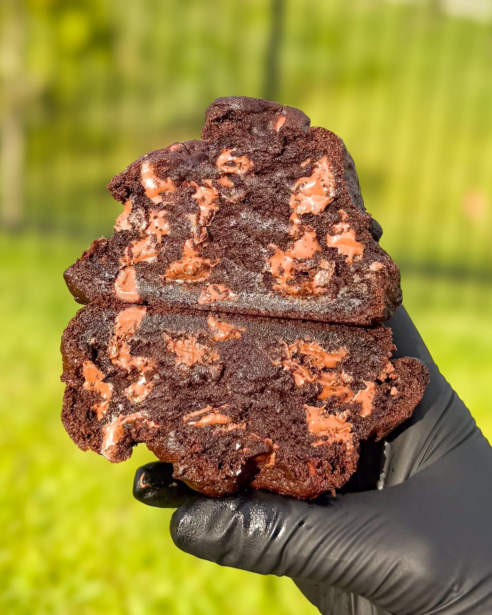 Double Chocolate - Star Cookies